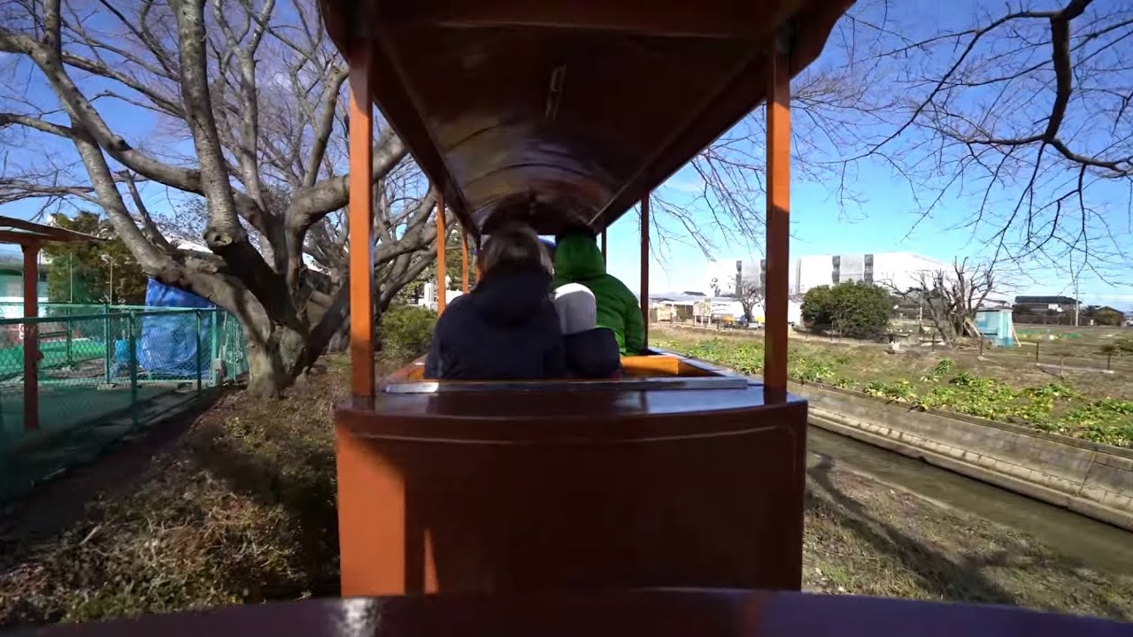 🟢むさしの村 むさしの村鉄道 / Railroad at Saitama Musashinomura