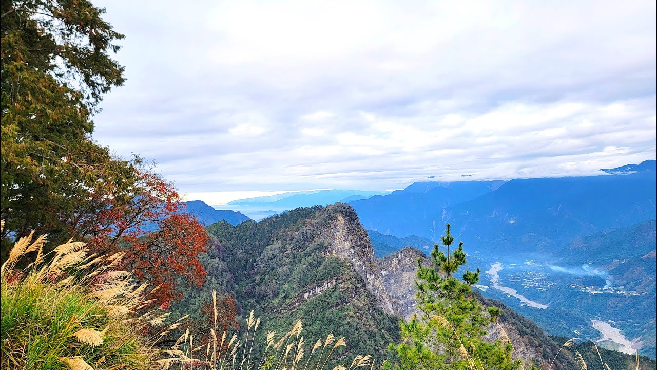 阿里山12月楓紅