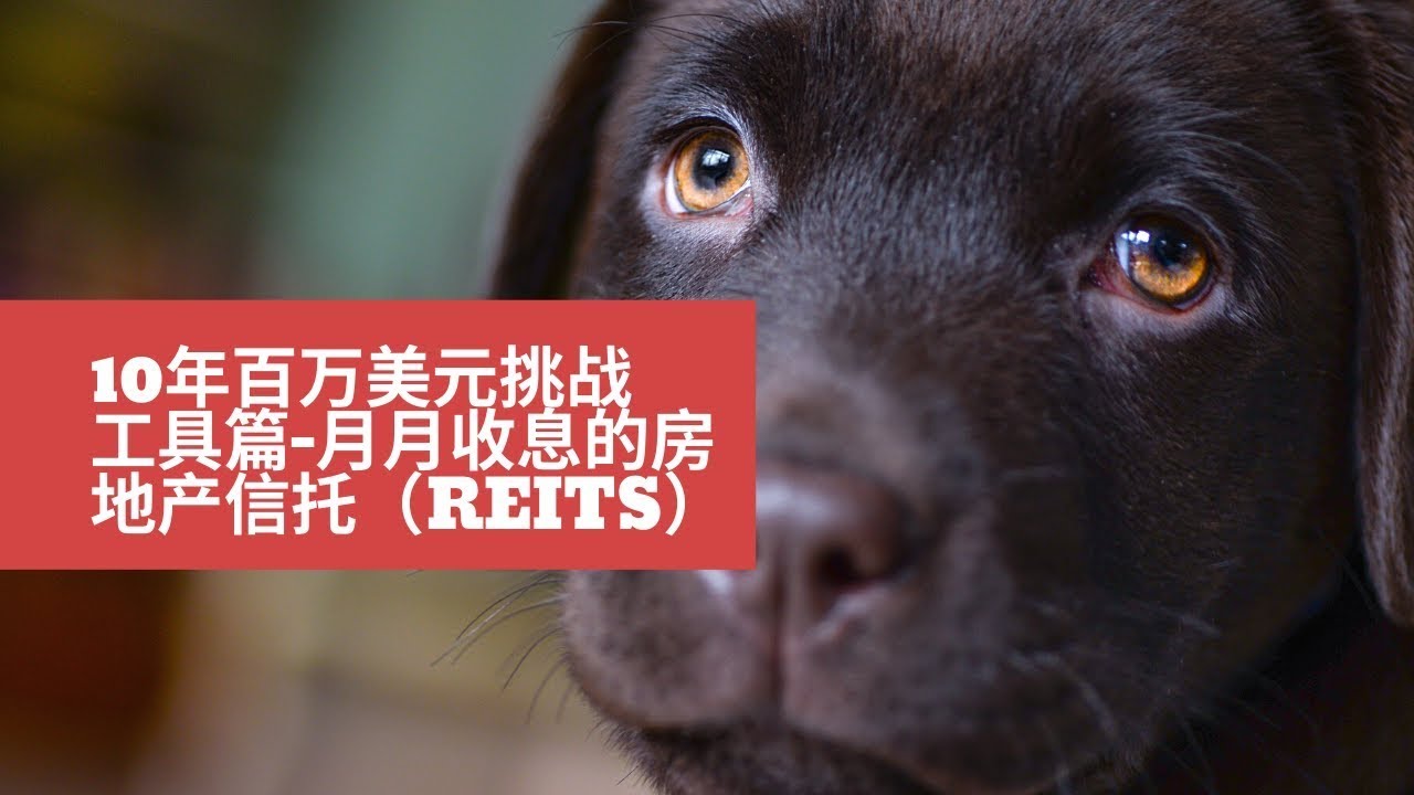 【10年100万工具】- REITs 月月收息的房地产信托个股分析 realty income（O）