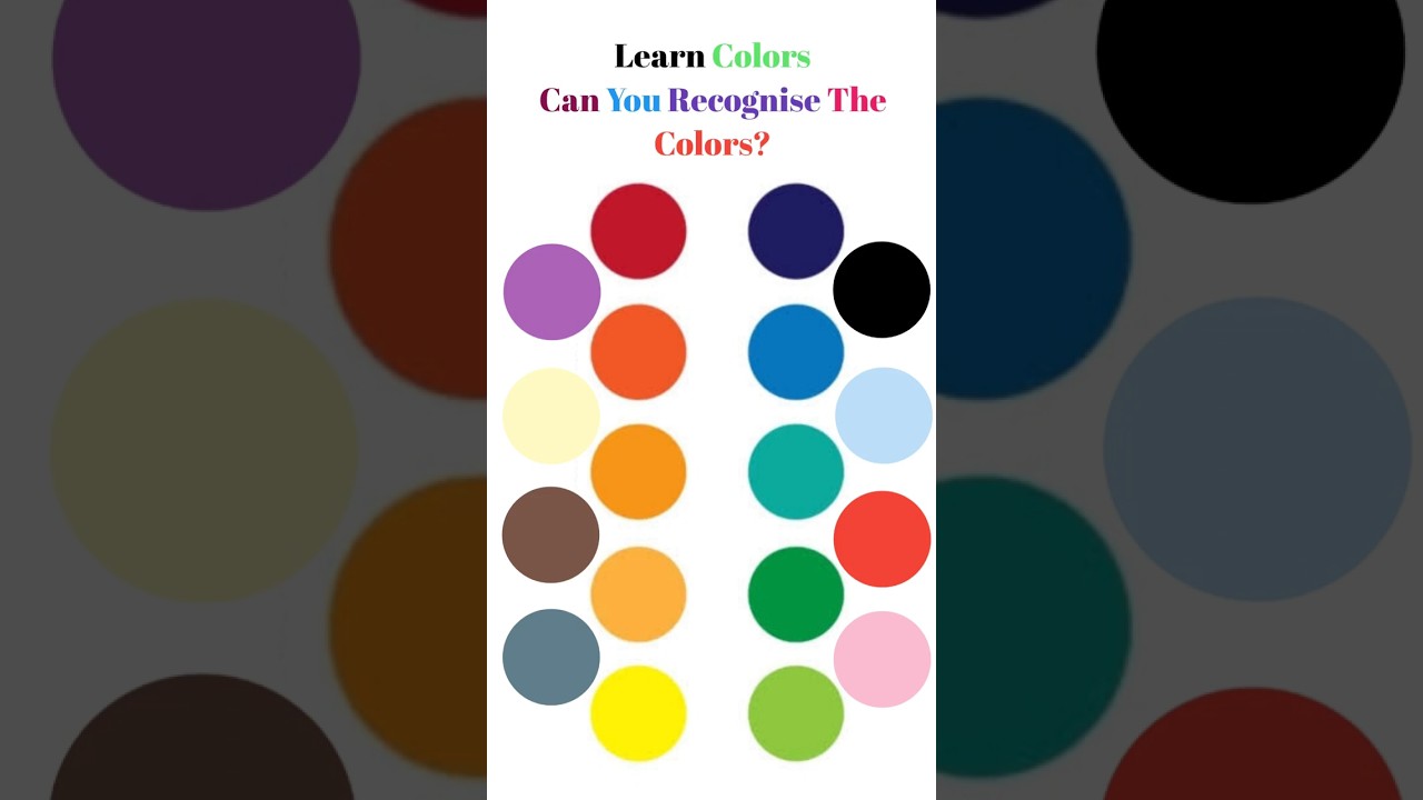 The Colors Song - Learn The Colors 