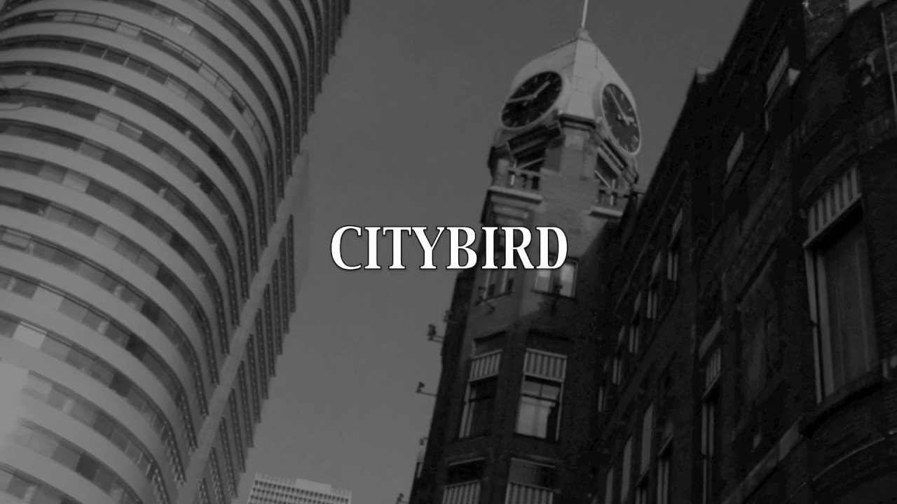 Citybird