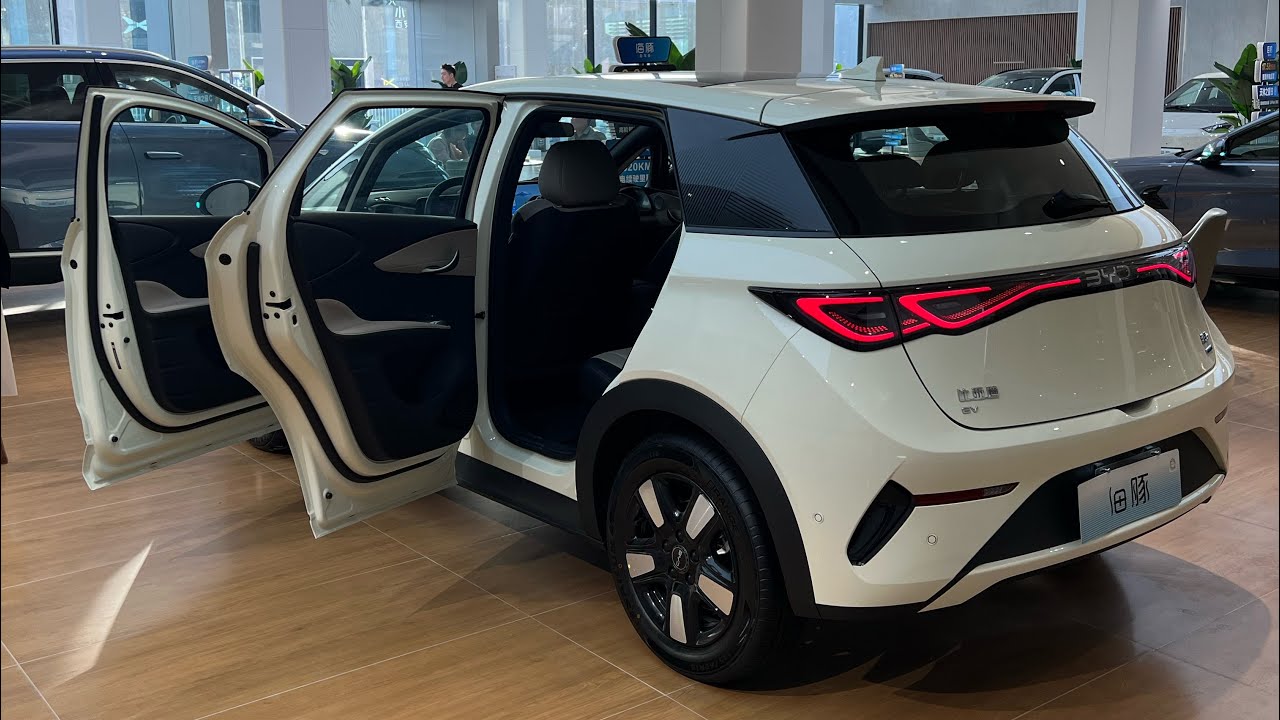 2025 NEW BYD Dolphin Ev 420/520km range under $13,800 review | BYD | China 🇨🇳