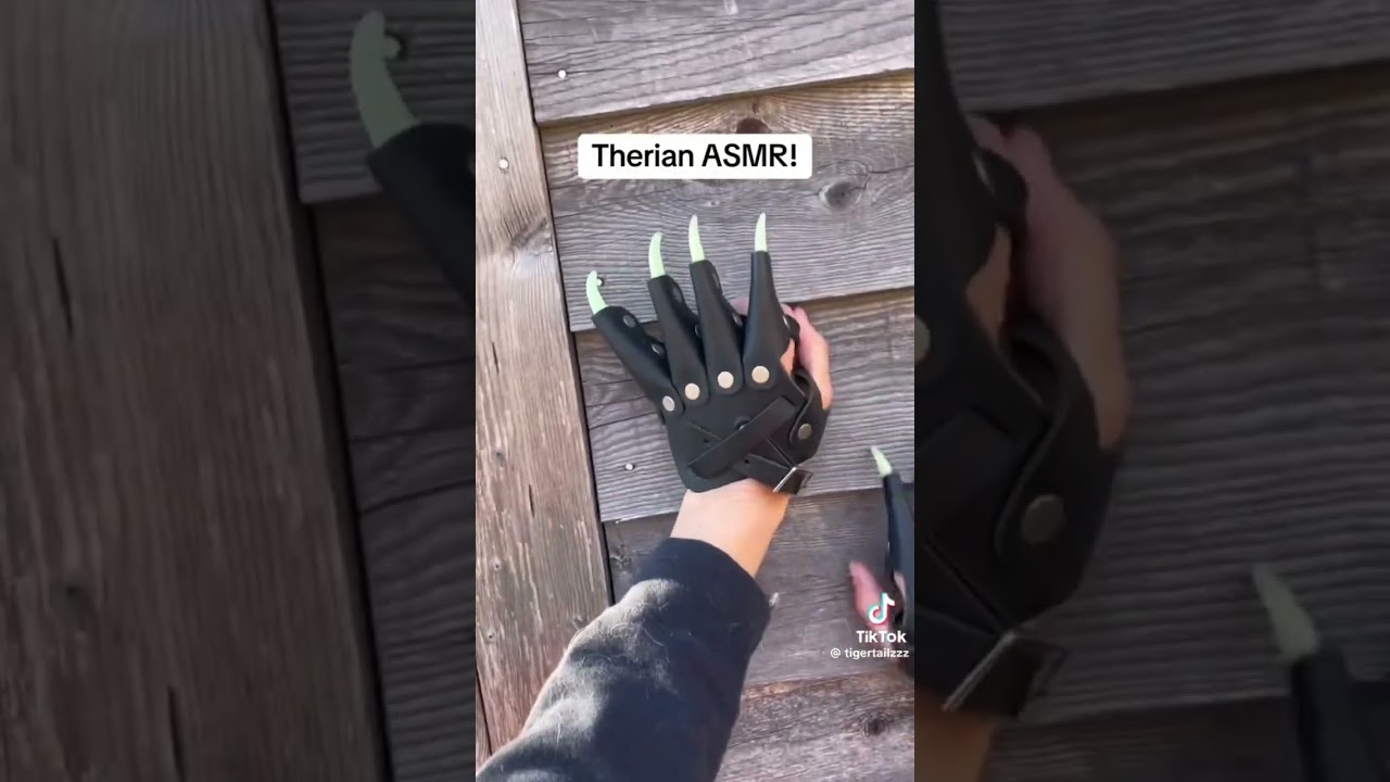 Therian/quadrobics TikTok compilation🪶🍃
