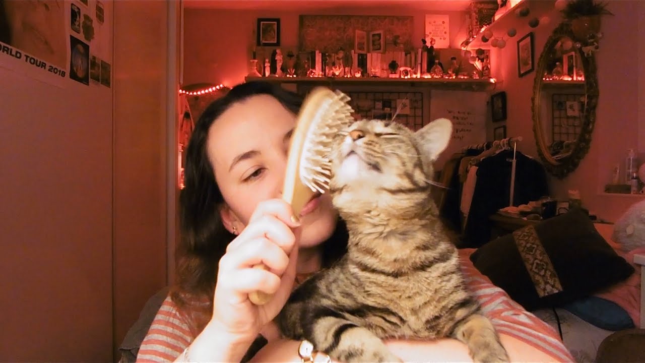 ASMR brushing my hair 200+ times ft my cat 🎀