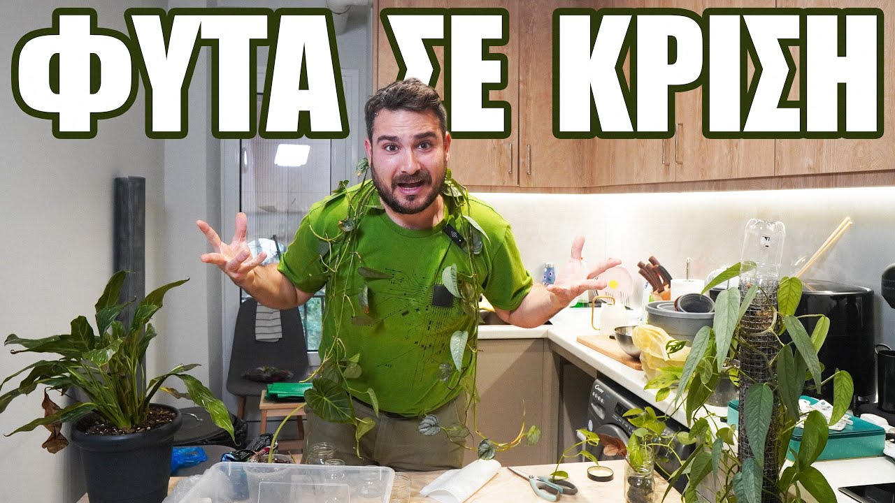 Τα φυτά μου ζητάνε 