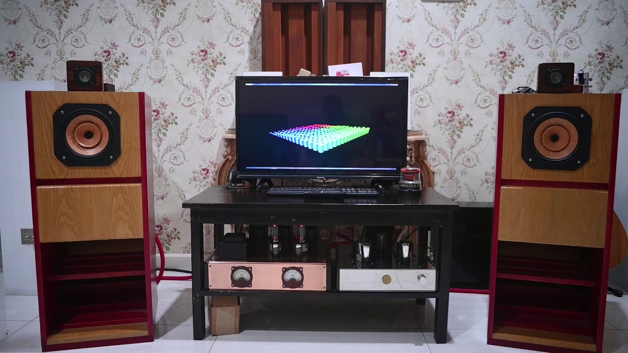 Aurel bryan with aurel bryan super tweter and tube amplifier