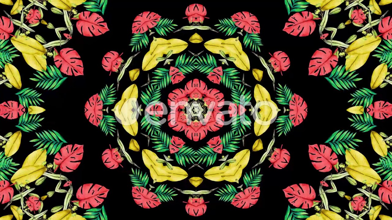 Colorful Tropical VJ Pack
