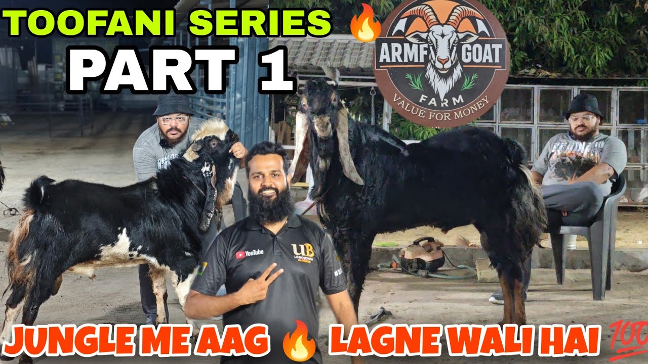 PART 1TOOFANI SERIES OF ARMF GOATFARM 🐐💯 BY REHMAN MISTRI🔥 ANSWER OF EVERY QUESTION HAQSE BAKREBAAZ