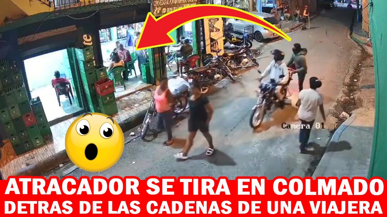 😱😱 EL TIGUERON SE TIRO EN UN COLMADO DETRAS DE LAS CADENAS DE UNA VIAJERA !!!