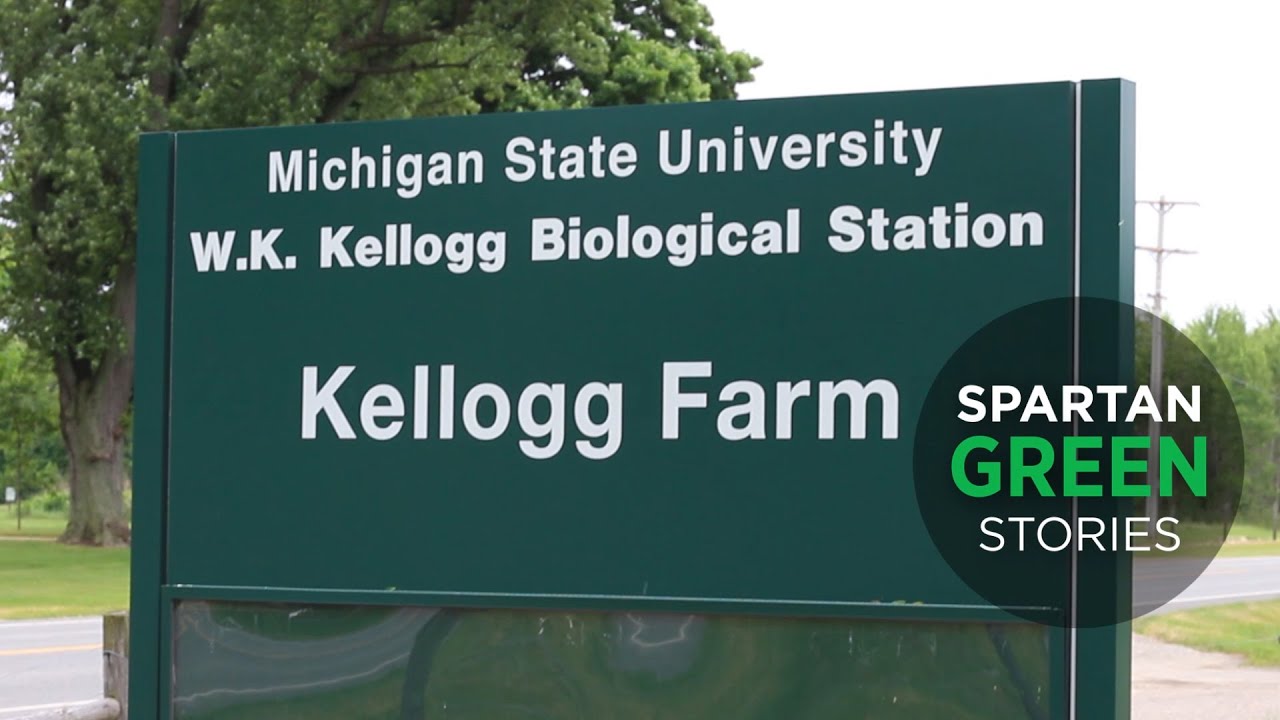 Spartan Green Stories: W.K. Kellogg Biological Station Pasture Dairy Center