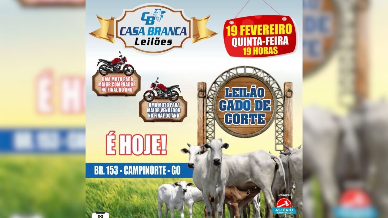 LEILÃO DE GADO DE CORTE CASA BRANCA LEILÕES  -  CAMPINORTE - GO 19 / 02/2026