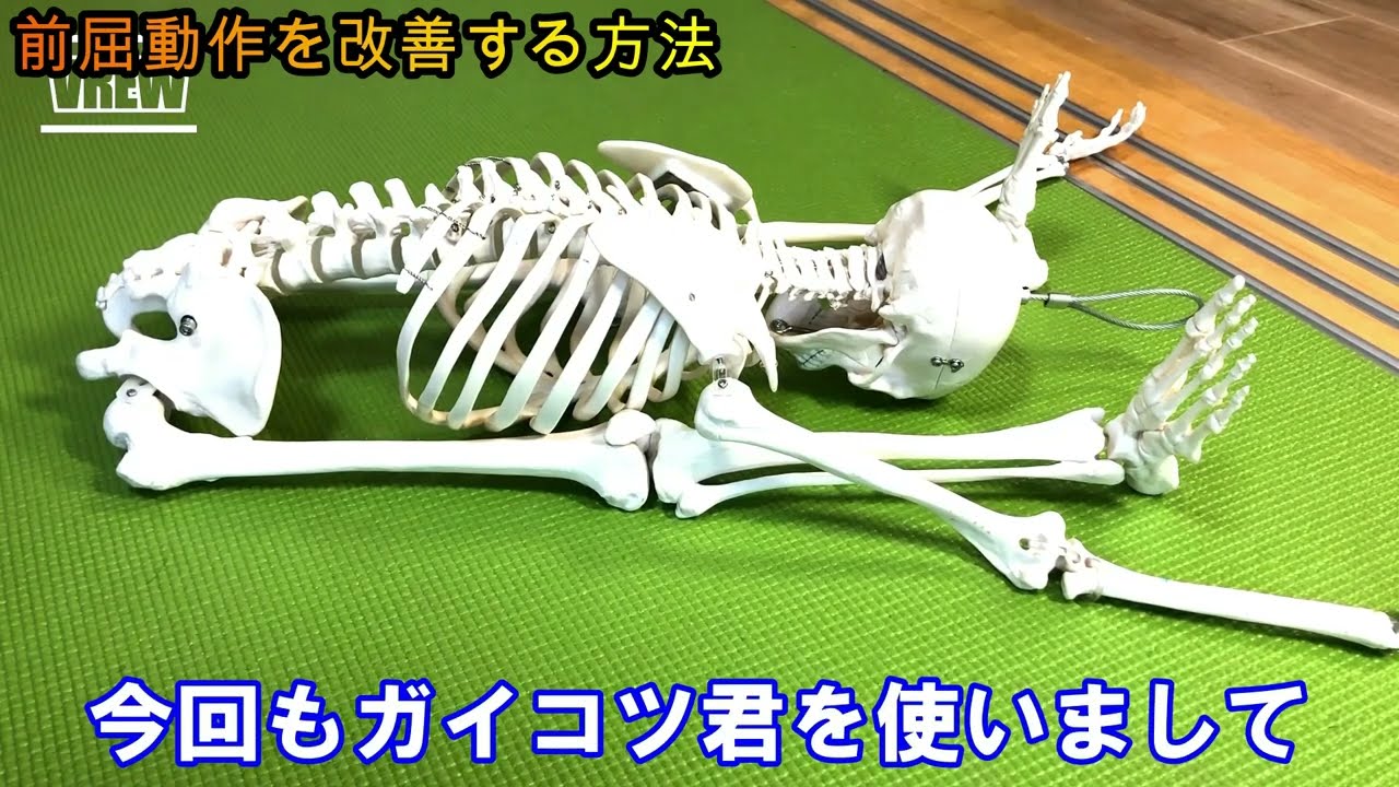 前屈動作を改善するには？