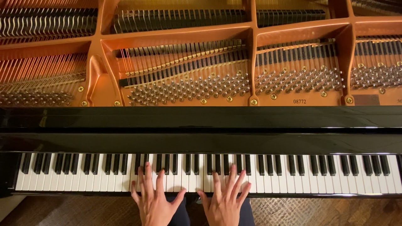 I Play Chopin's Nocturne Op. 27 No. 1