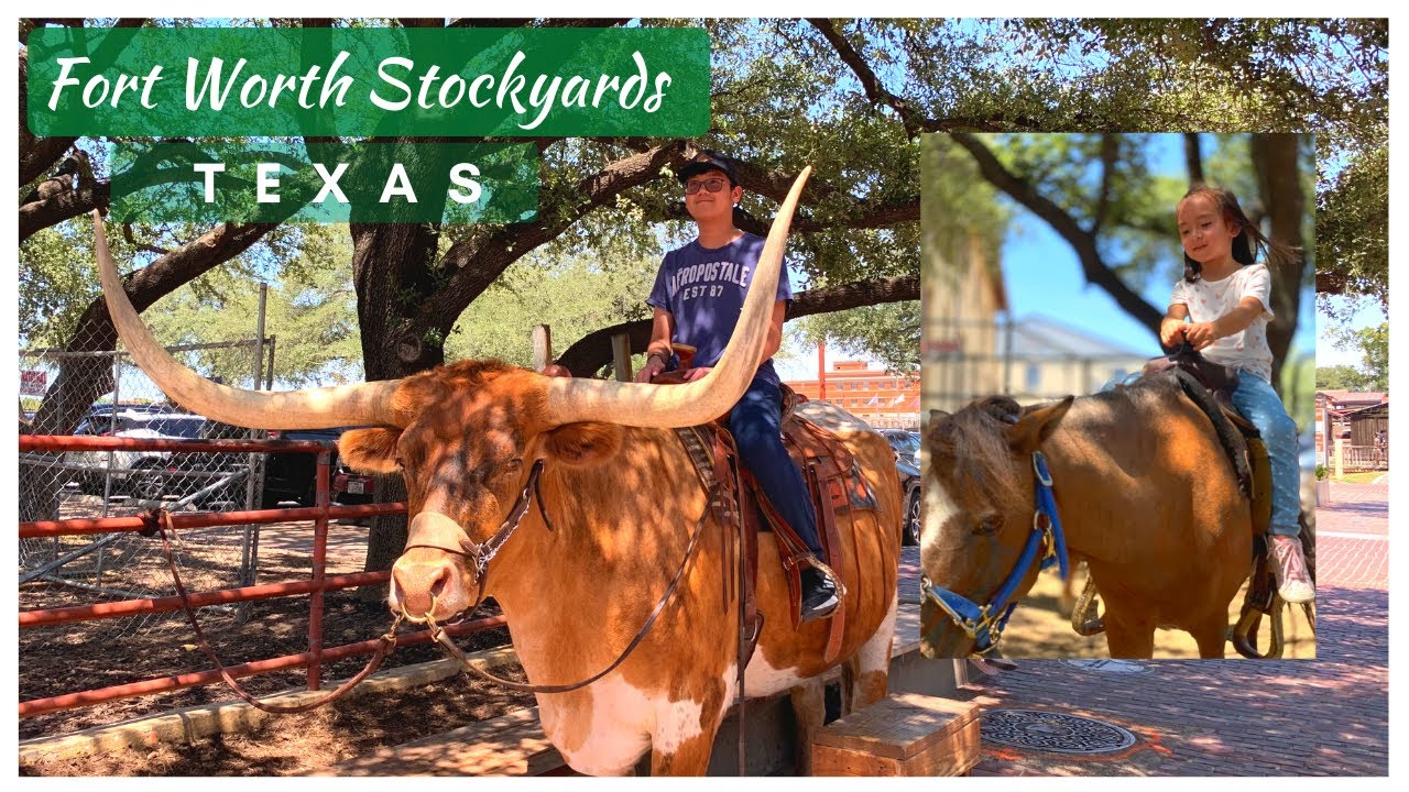 The Fort Worth Stockyards | Summer 2022 | Explore Texas