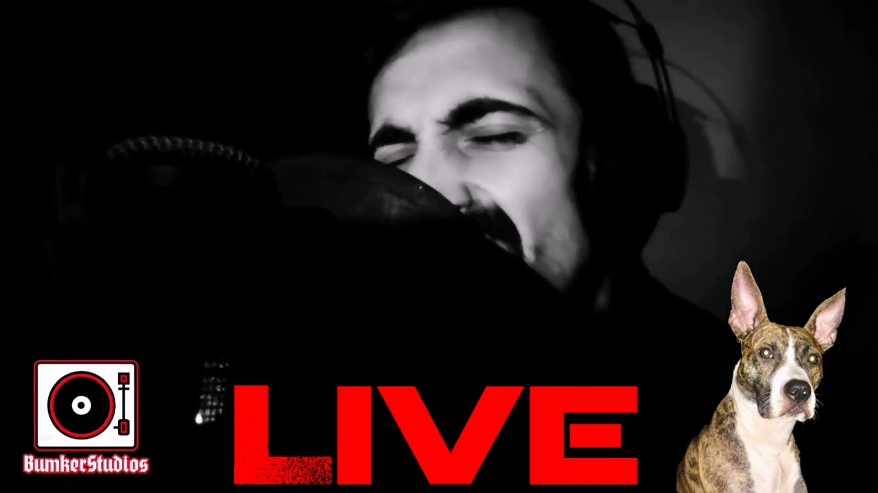 (live) V E N U S - K2K