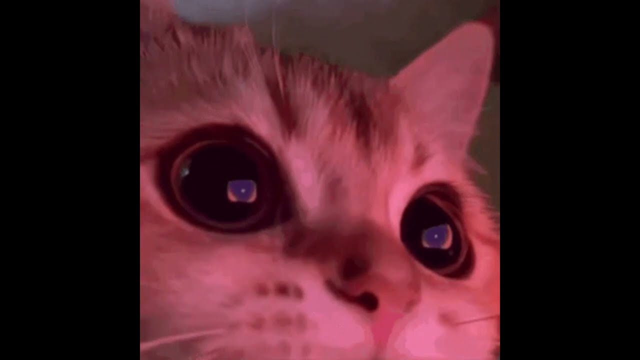 Marslı Kadın (slowed+reverb)