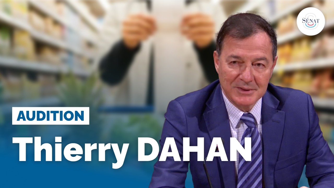 Audition de Thierry Dahan
