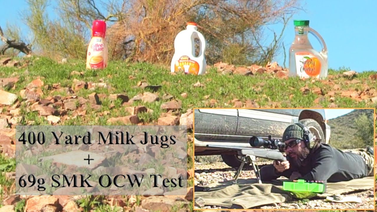 223 Sniper Practice @ 400 Yards + Varget 69g SMK OCW Test