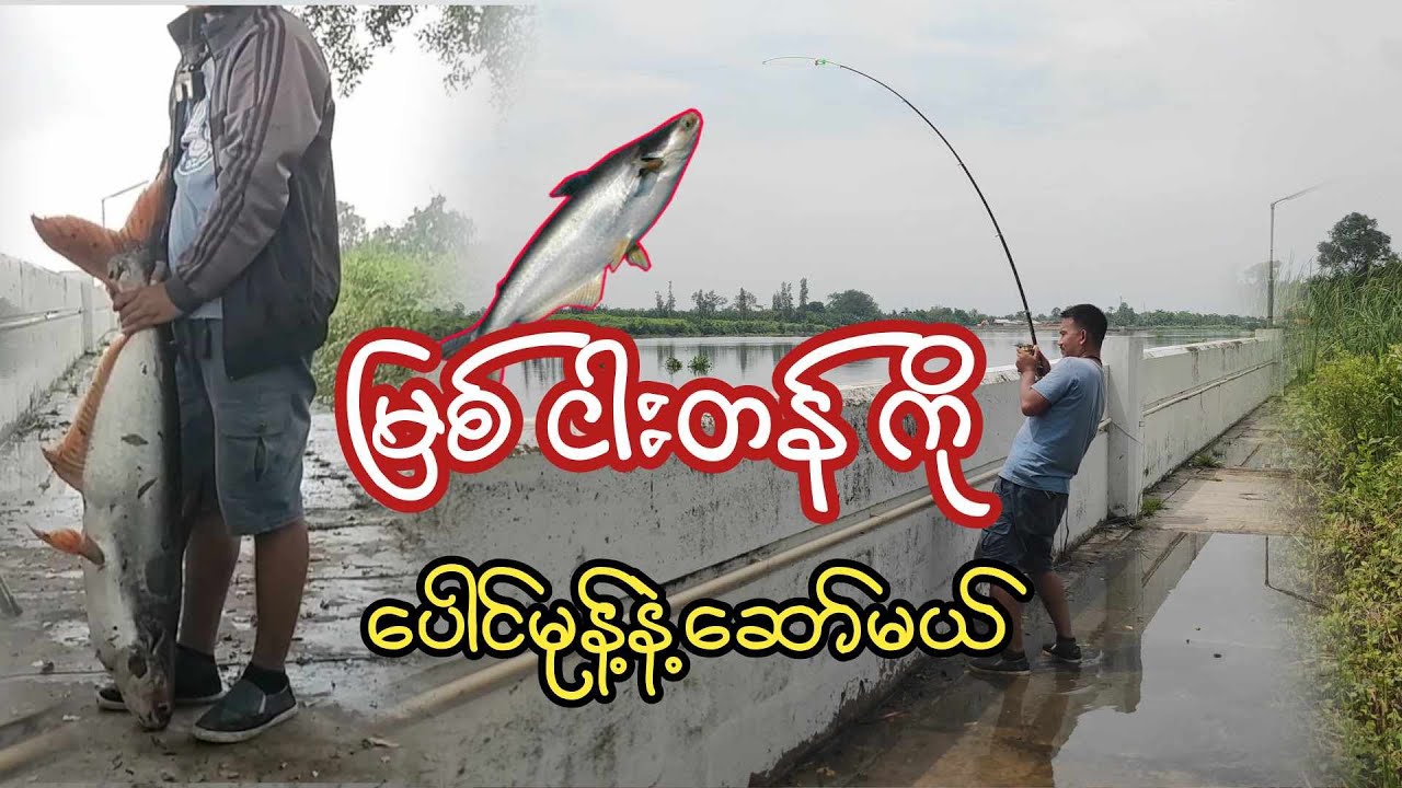 မြစ်ငါးတန် မျှားမယ်