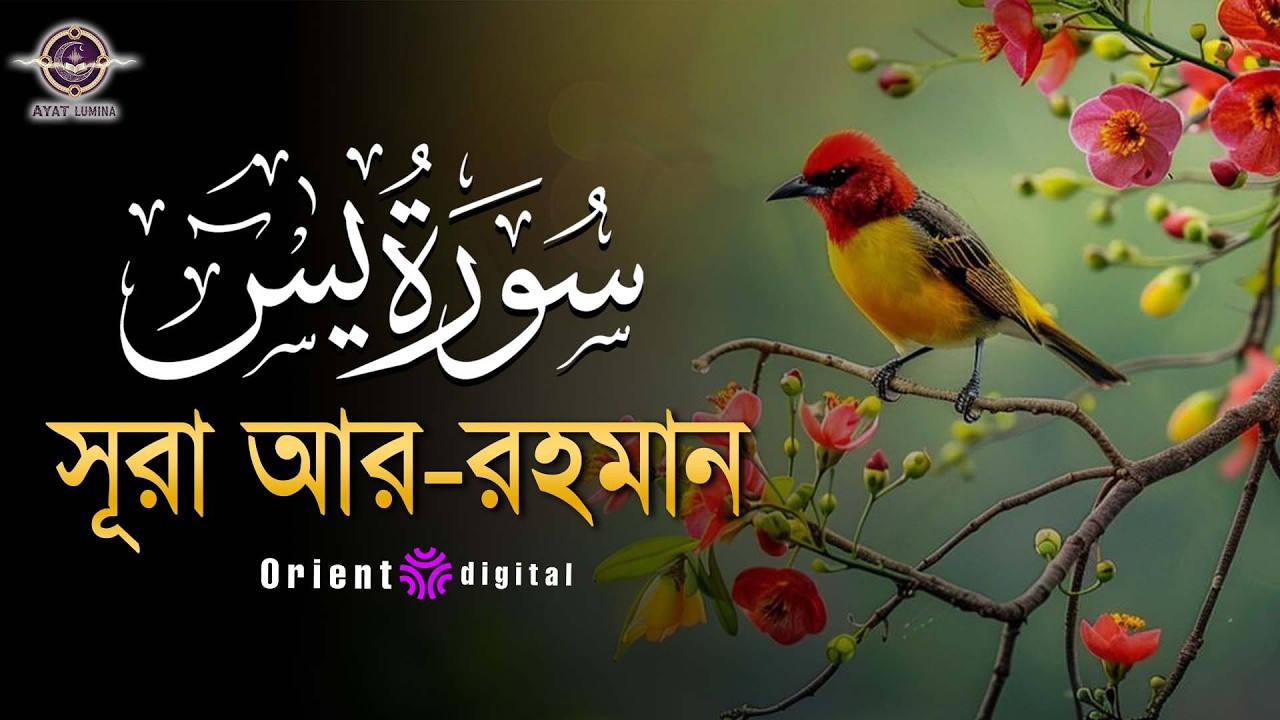 অন্তর শীতল করা সূরা ইয়াসিন এর তিলাওয়াত (سورة يس) | Surah Yasin Recited by Muhammad Ahmed Hassan