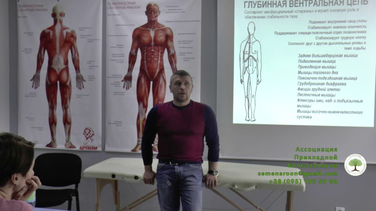 Важность работы с тазовой диафрагмой. Дмитрий Кущик. Прикладная кинезиология. Остеопатия. АПК