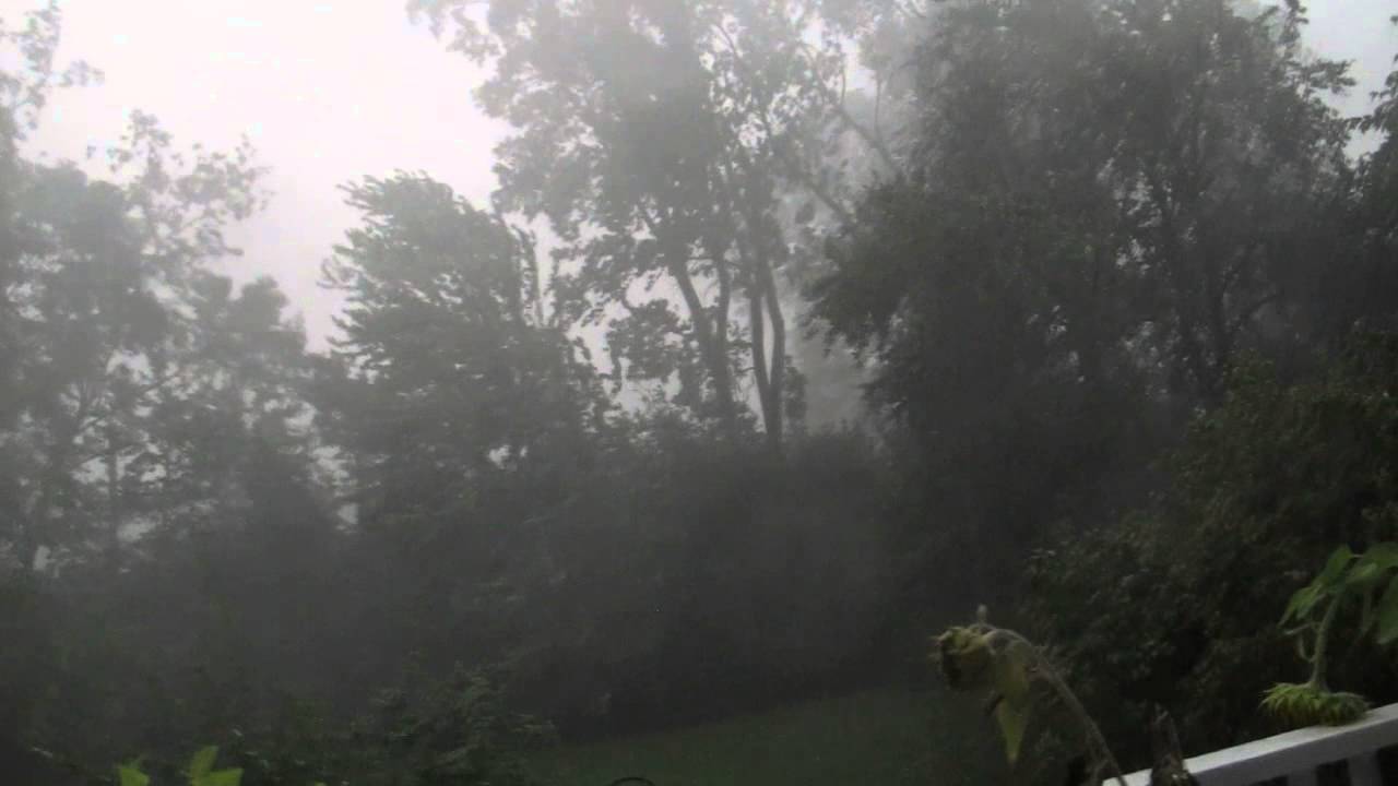 Severe windstorm, Troy, MI, Sept 11, 2013