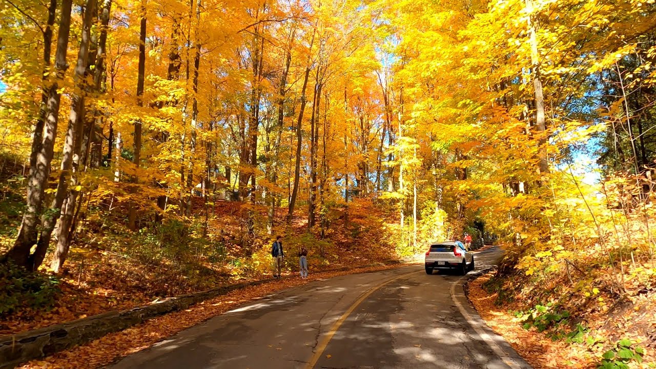 [4K] Colors of Fall in Canada - Forks of the Credit Road Belfountain and Caledon Ontario Canada