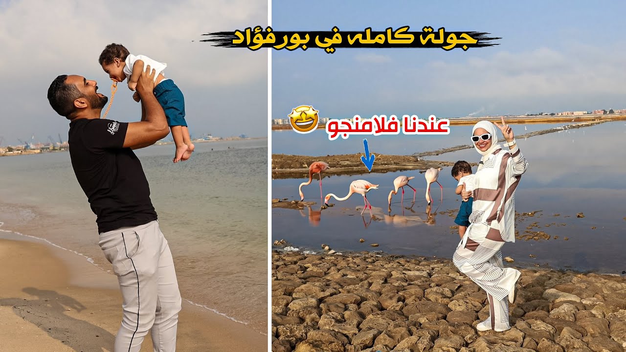 يوم كامل في بورفؤاد كأنك في اوروبا😊👌اتصورنا مع الفلامنجو🦩