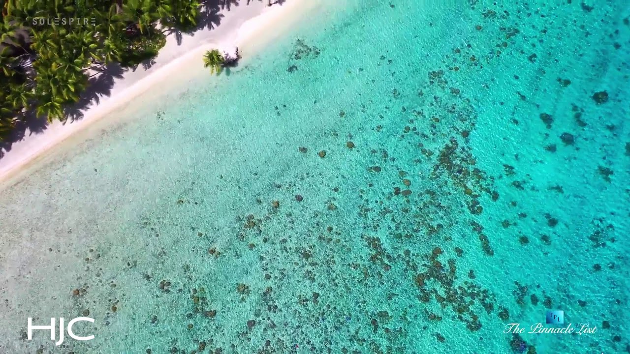 Private Tahitian Island of Motu Tane