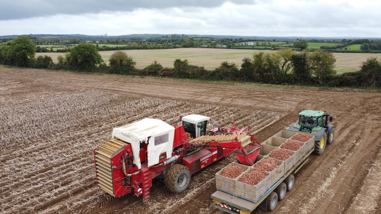 Spillanes, Co. Meath potato harvest