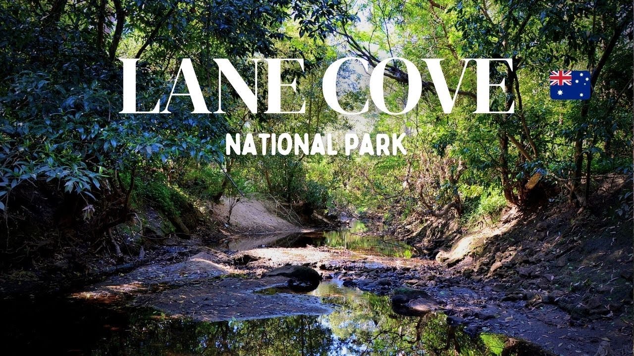 Lane Cove National Park, Sydney 🇦🇺 | Walking Tour | 4K