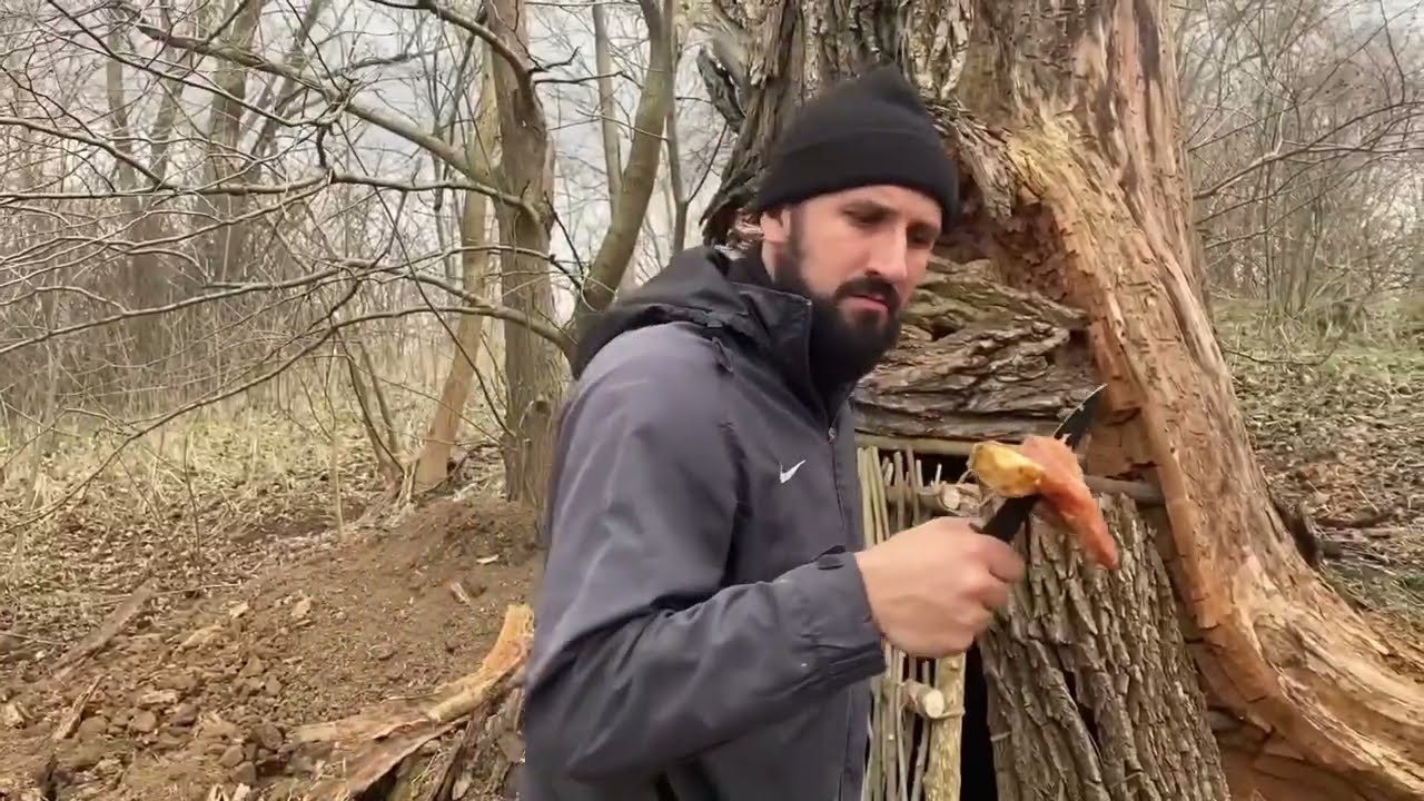 Bushcraft Secrets Deep Inside a TREE! Survival Skills You Need bushcraft camping survival shelter