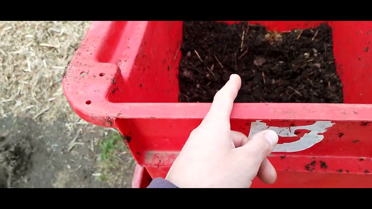 Planter des Arbres en Hiver un Investissement à Risque 