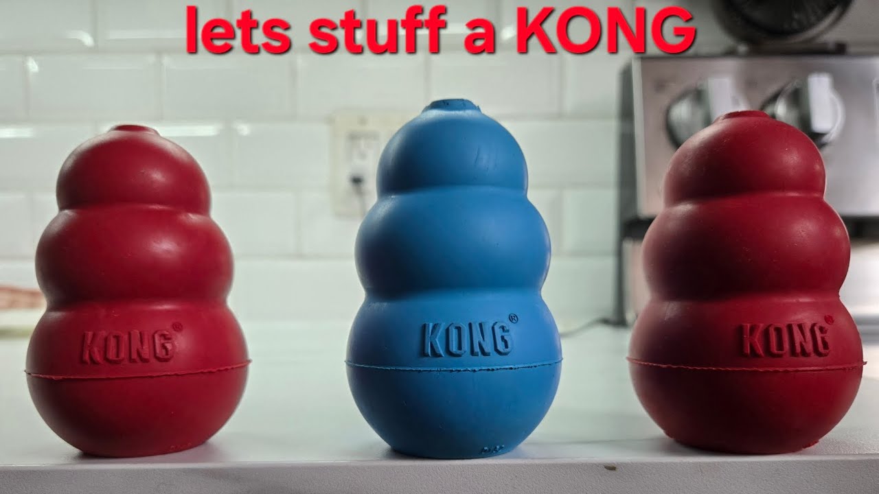KONG recipe and frozen dog treats