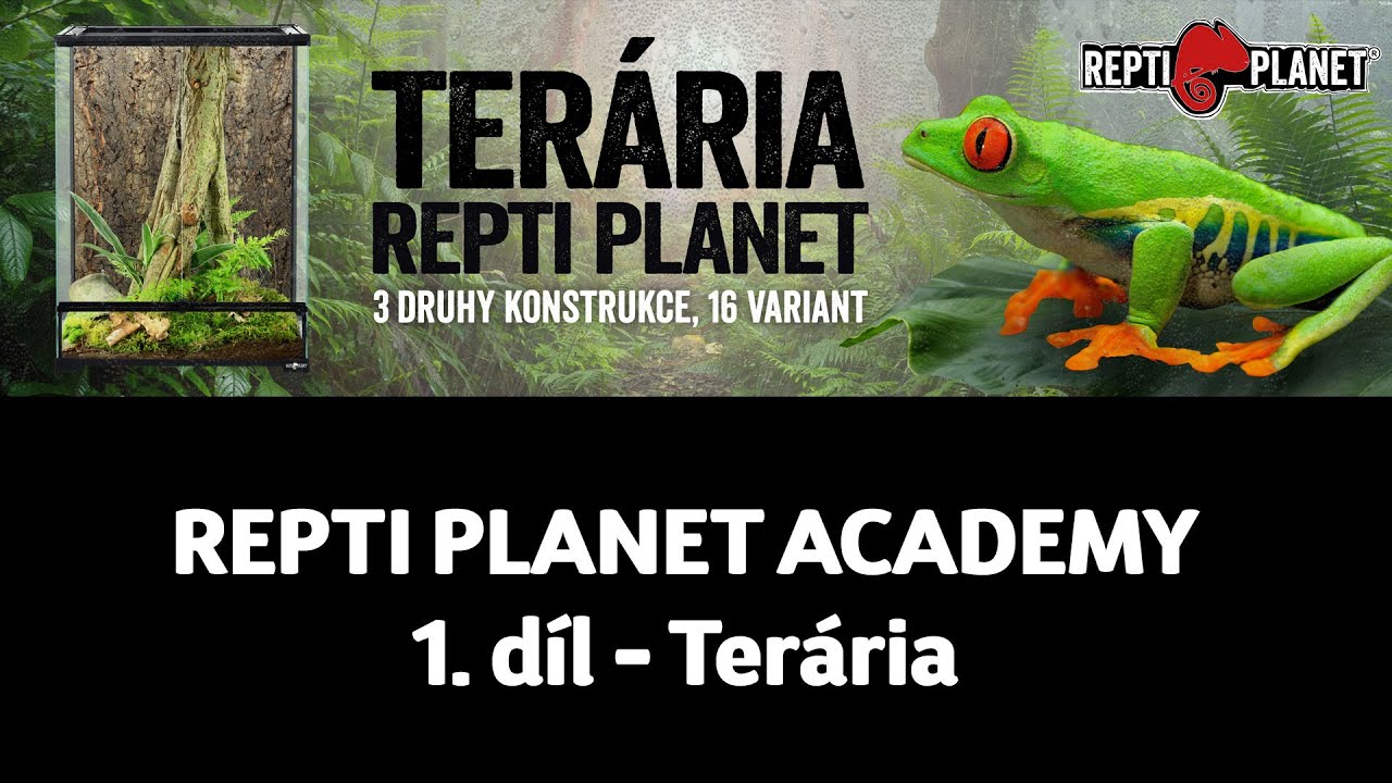 REPTI PLANET ACADEMY | 1. díl - Terária