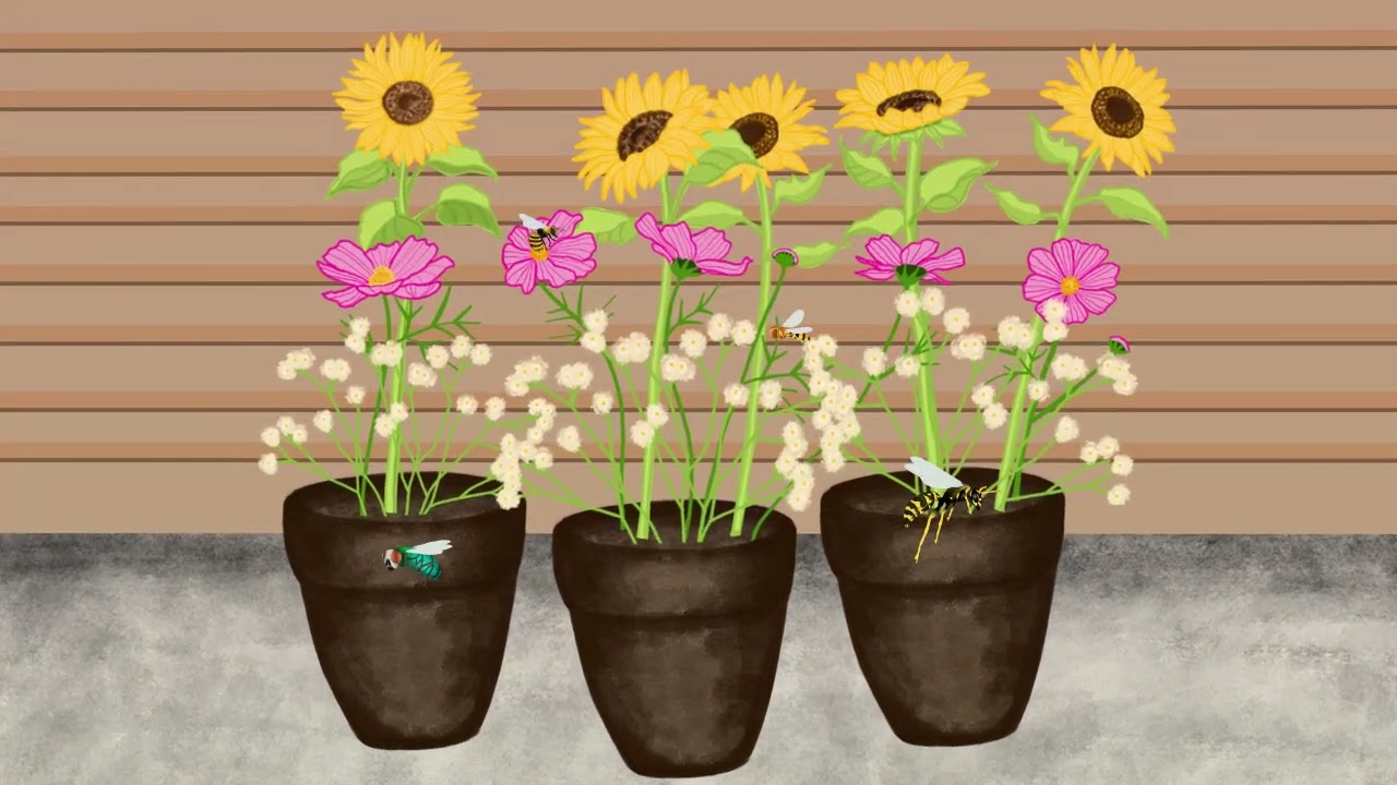 The Busy Bee Caf&eacute; Student Project