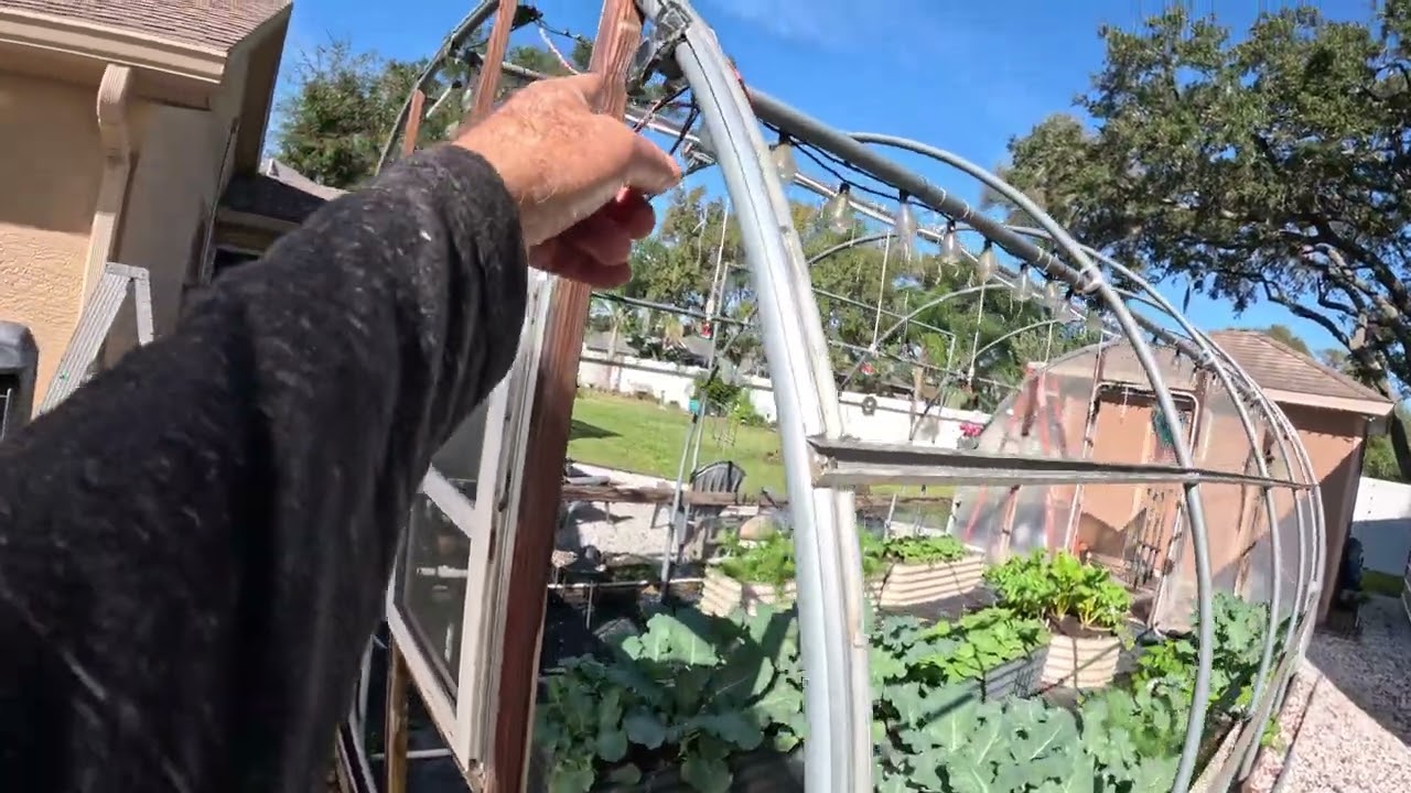 Greenhouse Film Replacement 11- 2024 due to hurricane Milton damage.
