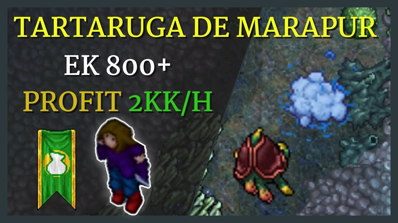 Tibia Hunt TARTARUGA DE MARAPUR / EK 800+ / Profit 2KK/H