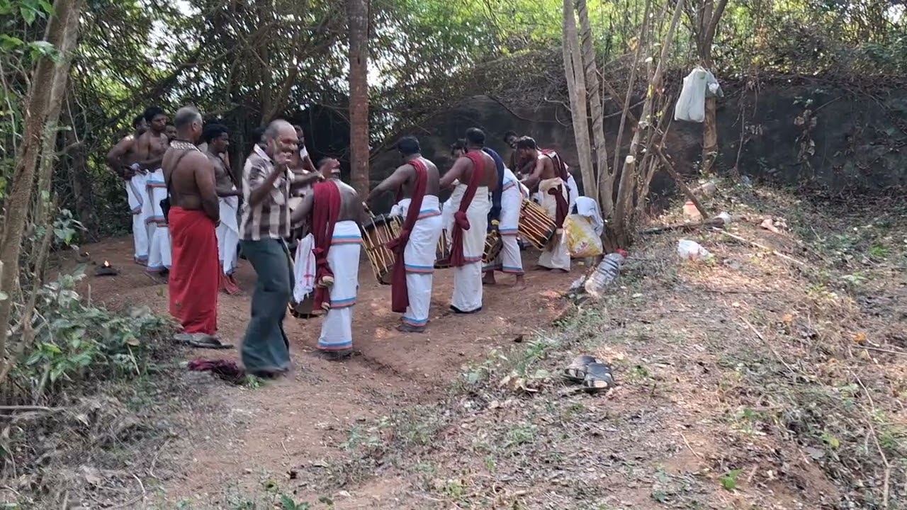 ഉത്സവത്തിലെ തായമ്പക മനോഹരമാക്കാൻ വേണ്ടി🥰🥰🥰👍👍👍