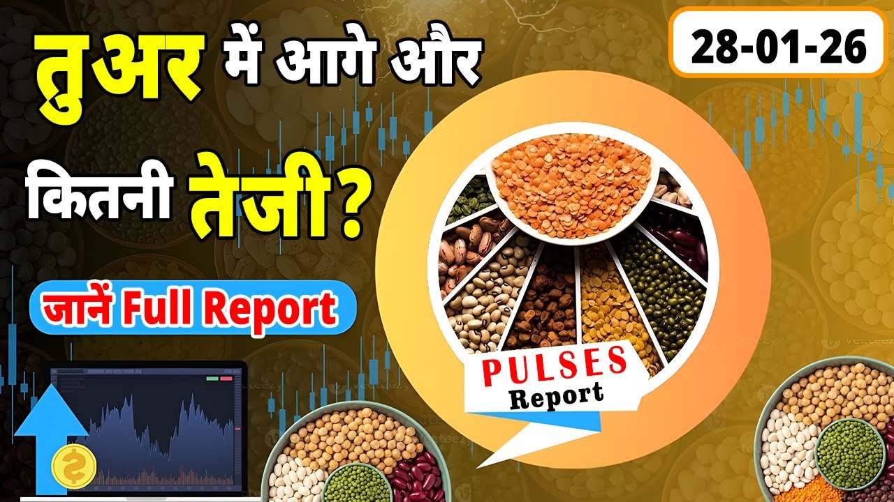 आज का तुअर भाव: तुअर में आगे और कितनी तेज़ी संभव?