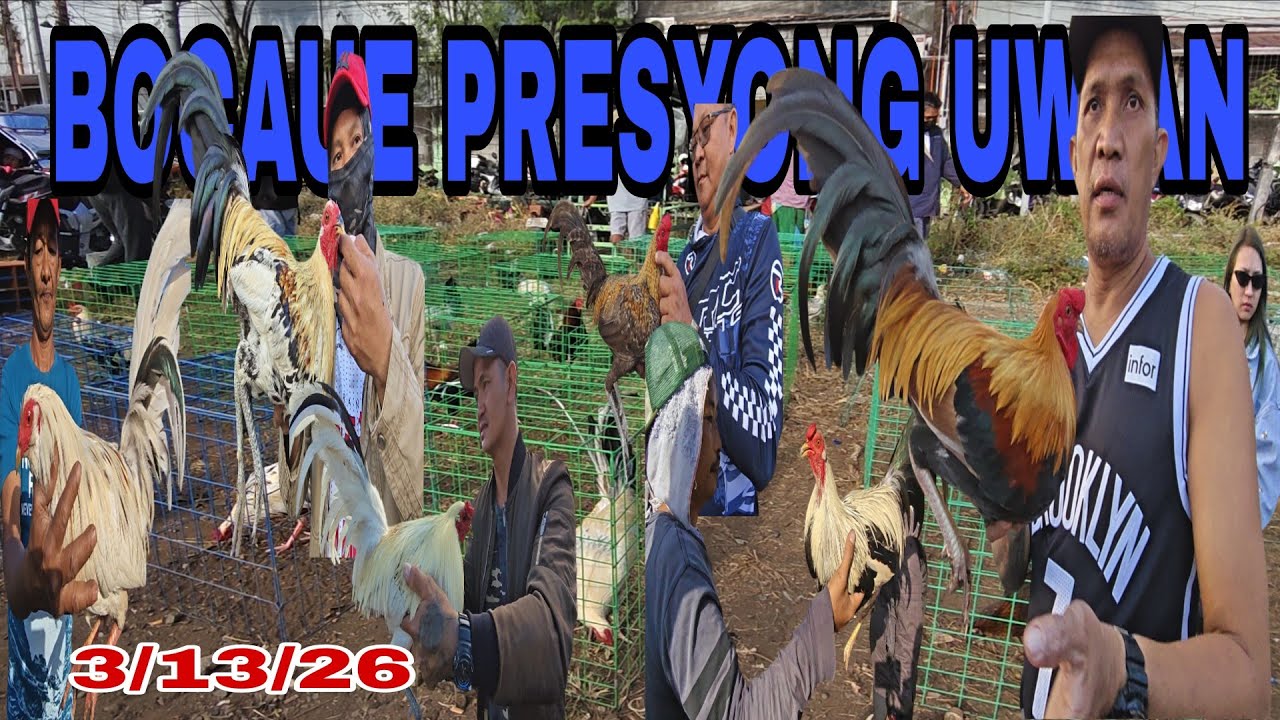 Pauwi na kaya halos pamigay na ang manok ni boss Steve bocaue Friday 3/13/26