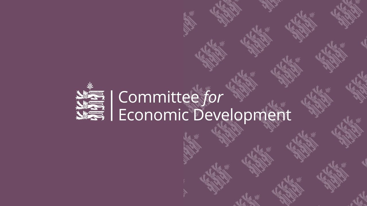 Economic Development appoint Committee leads to help drive change in key areas