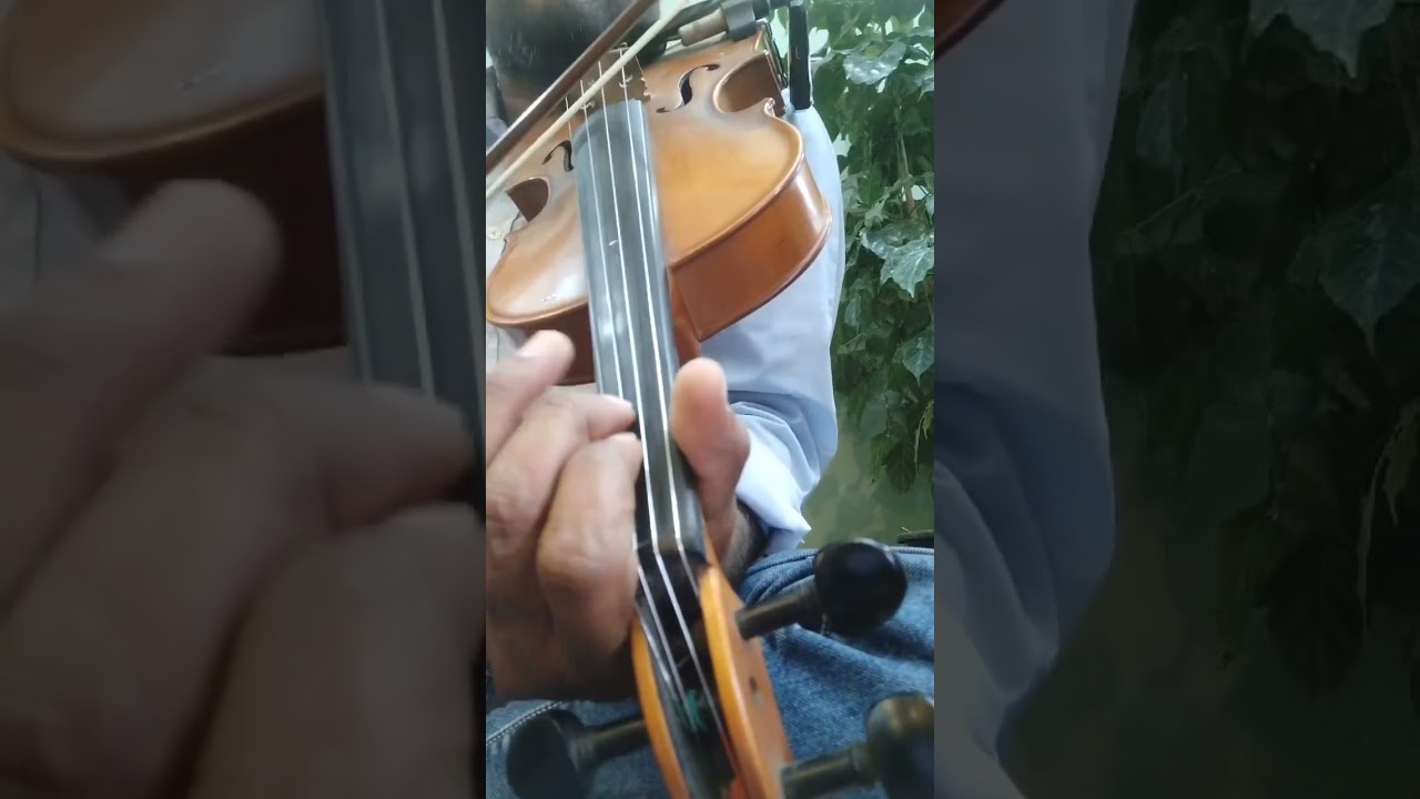 Raja Raja Chozhan Naan | Violin Tutorial With Notes | Tamil Cine Song Notes | Illayaraja Classic