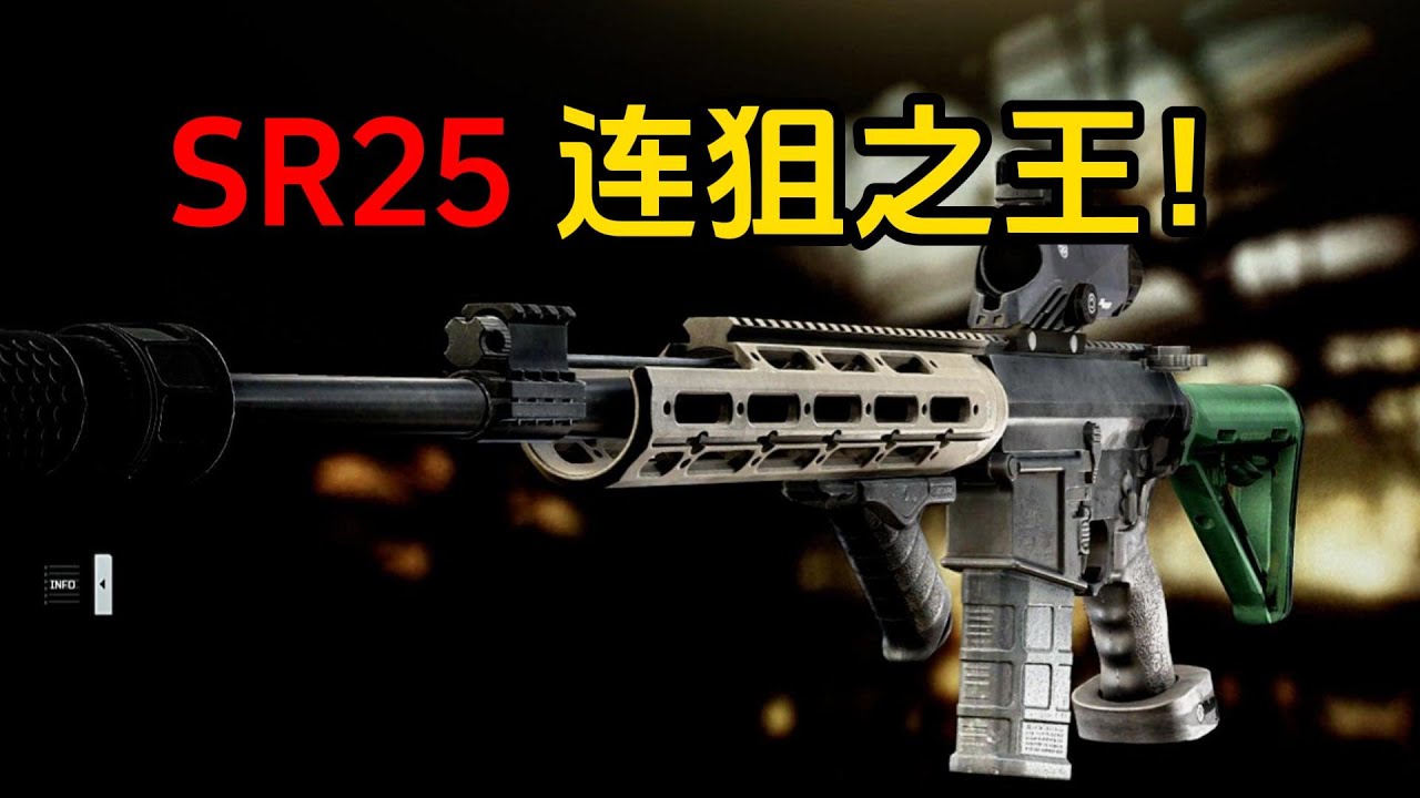 SR25 连狙之王! 逃离塔科夫