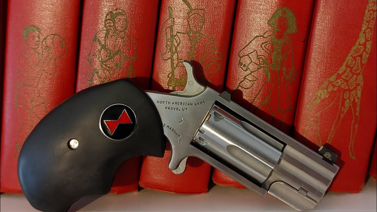NAA PUG MINI REVOLVER GRIP REVIEW