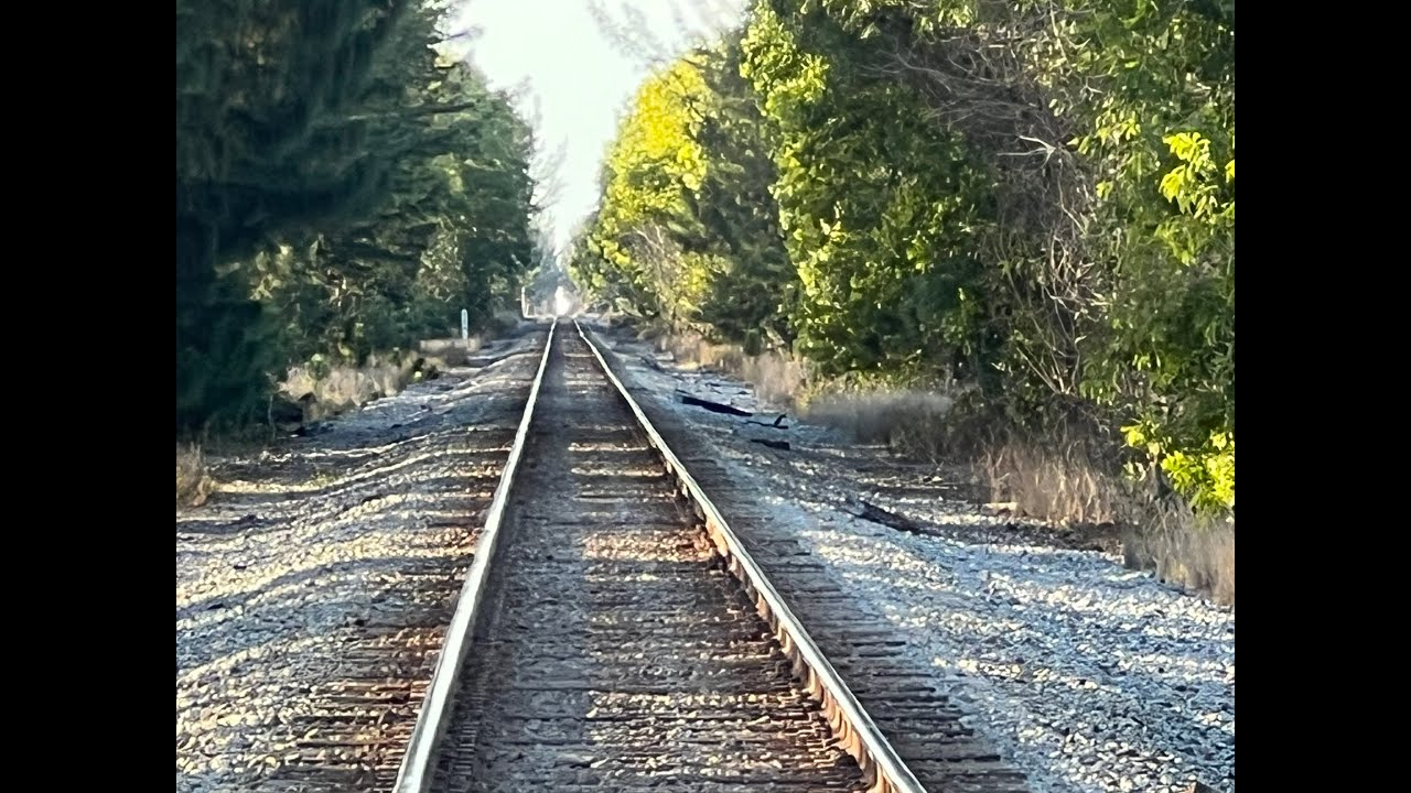 Now Approaching! Wicked Fast Amtrak Silver Meteor