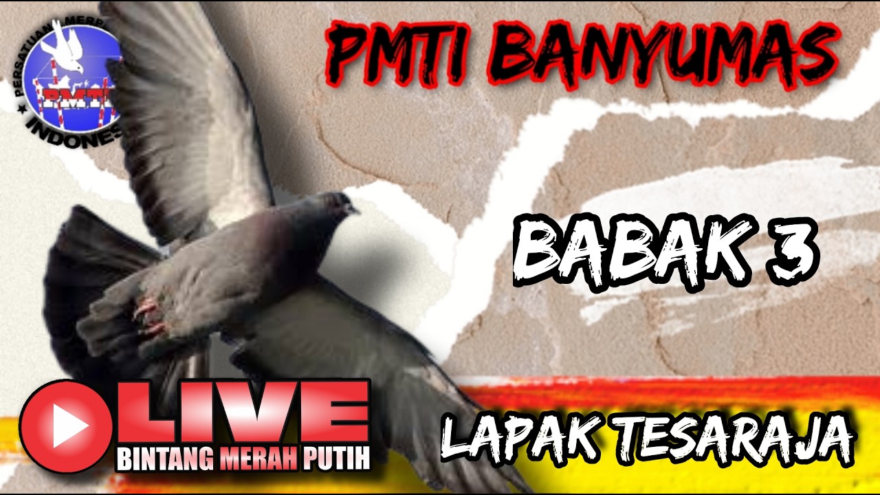 🔴LIVE Lomba Utama Babak 3 kloter 1 - 10 lapak TESARAJA - patikraja LIGA pmti BANYUMAS