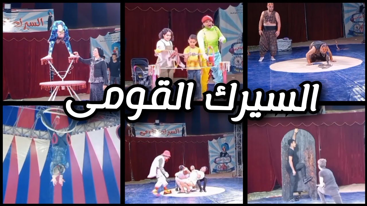 السيرك القومى متعه وإثارة وضحك