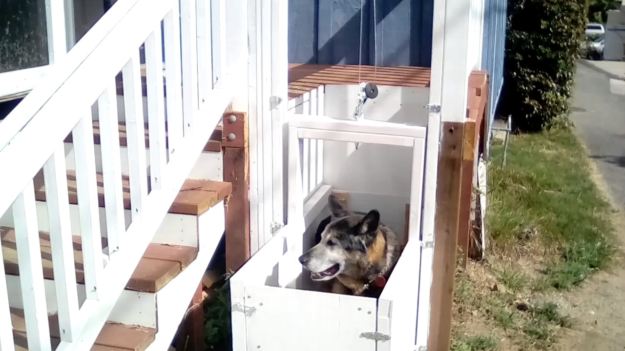 Dog Elevator for Louie Going Down