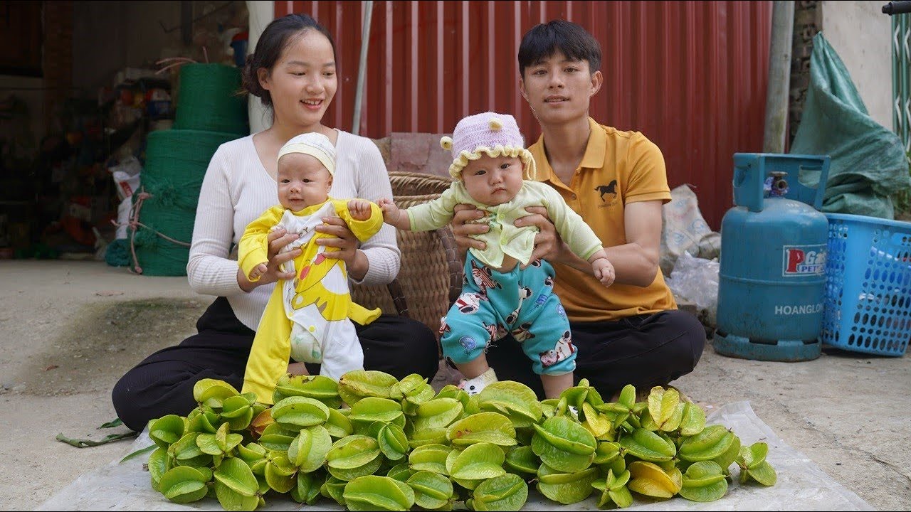 The young couple and their two small children harvest starfruit to sell at the market.